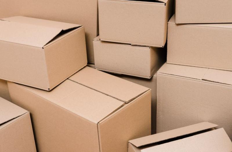 الجمهورية الجديدة