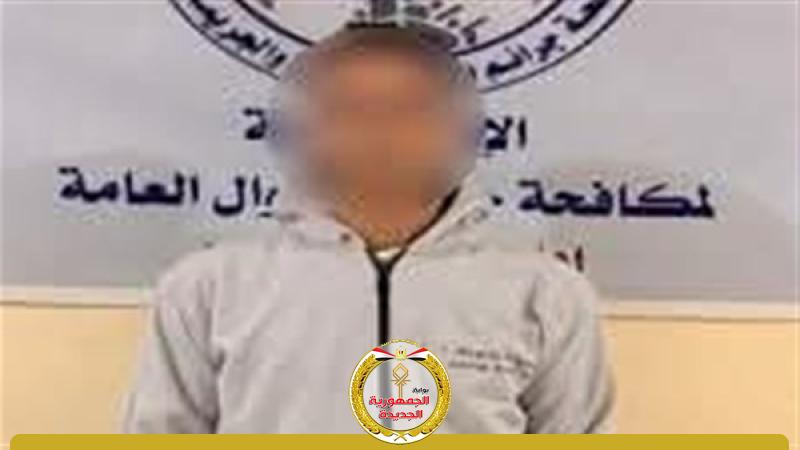 الجمهورية الجديدة