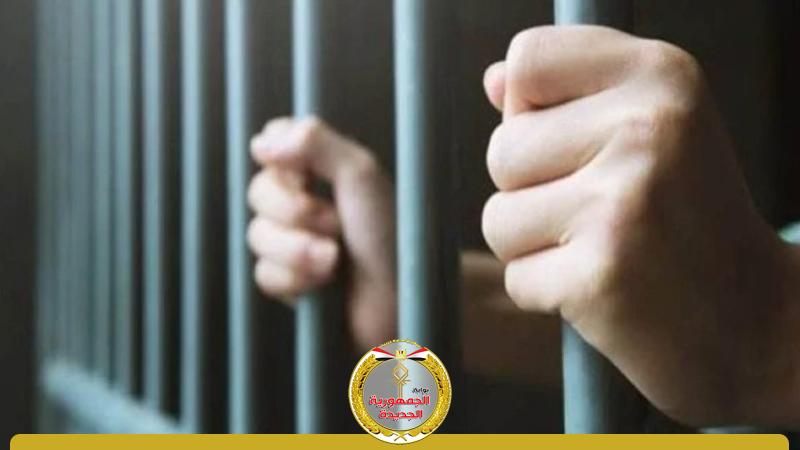 الجمهورية الجديدة