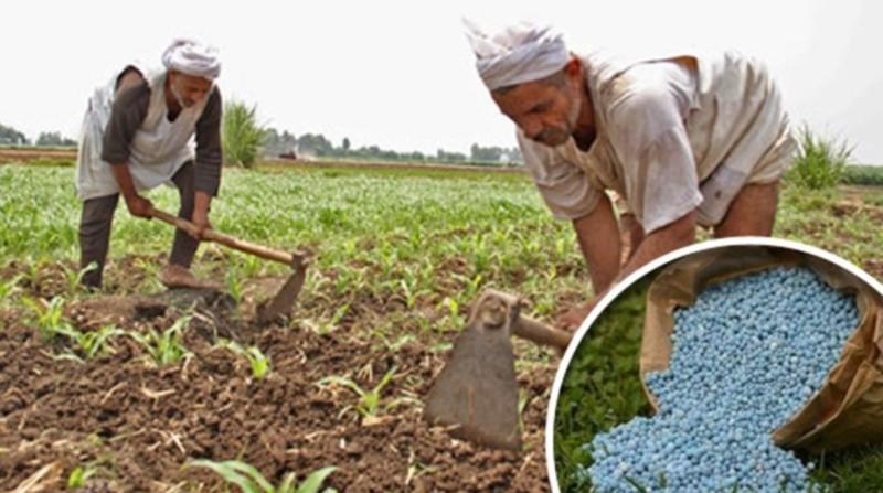 انخفاض حاد بأسعار الأسمدة المحلية وسط تفاقم أزمة السوق السوداء