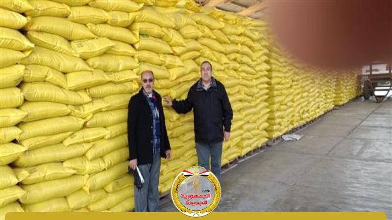 الجمهورية الجديدة