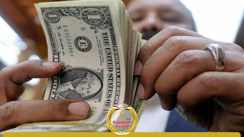 الجمهورية الجديدة