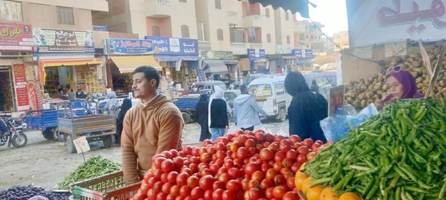 «سلة الأسرة تحت الضغط»: كيف أثرت أسعار الخضروات على ميزانية المواطن المصري؟