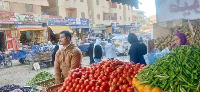 «سلة الأسرة تحت الضغط»: كيف أثرت أسعار الخضروات على ميزانية المواطن المصري؟