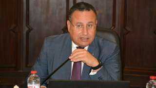 مصر تعزز شراكاتها الدولية في التعليم العالي.. توجه قوي لدعم الابتكار واستقطاب الجامعات العالمية