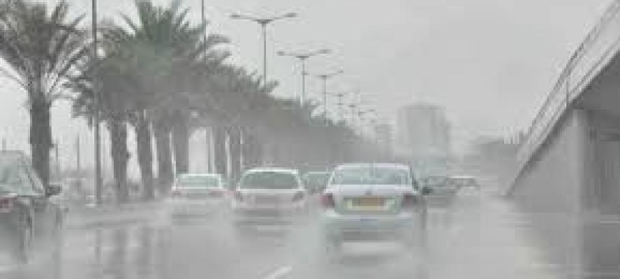 تقلبات جوية تضرب البلاد غدًا.. شبورة كثيفة وأمطار ورياح نشطة حتى مطلع الأسبوع