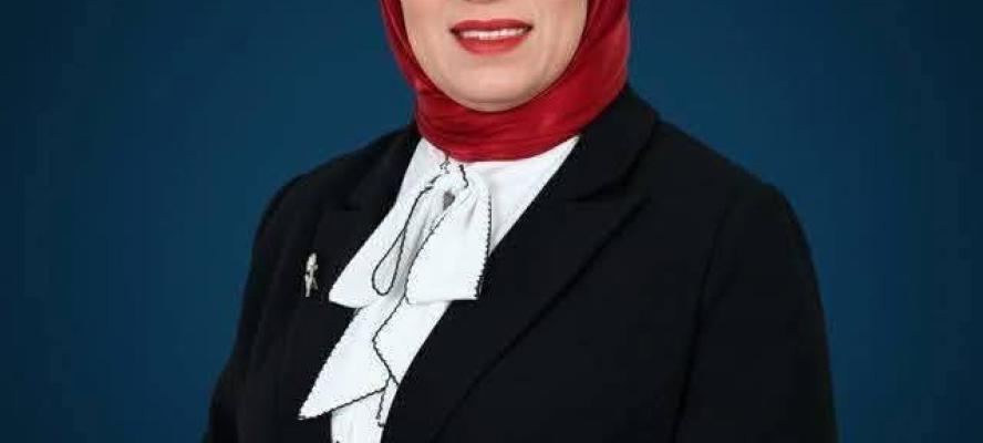 د. رهام فاروق : طلب احاطة عاجل لمجلس الوزراء لجمع حلول ”لعبارة الموت ” بجزيرة الشورانية بمركز المراغه بسوهاج