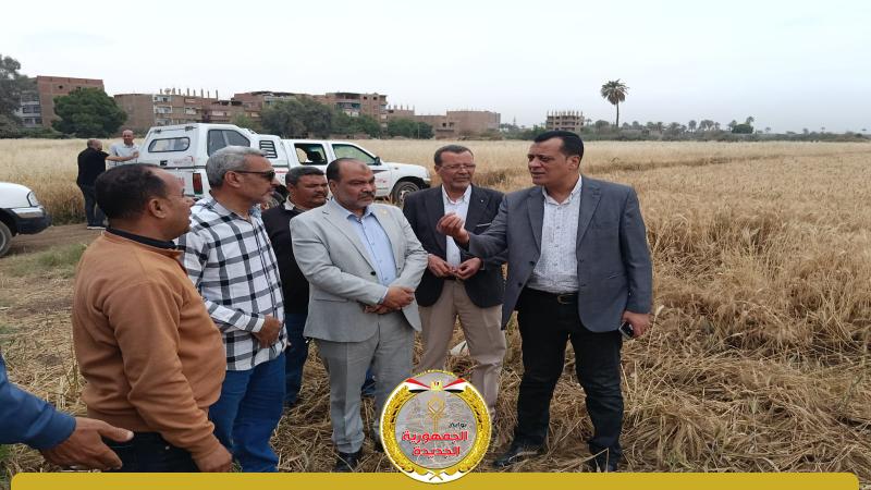 مزرعة قمح مدرسة الثانويه الزراعية بسوهاج 