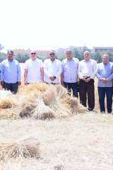 جامعة سوهاج تبدء موسم حصاد الذهب الأصفر