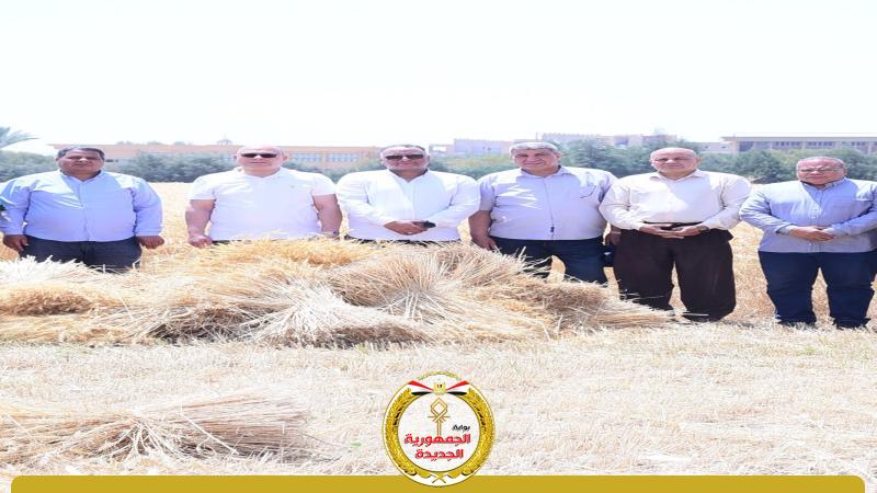 جانب من محصول القحم 