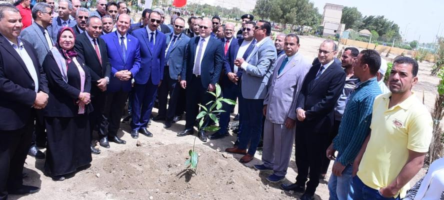 راشد والنعماني وعدد من القيادات يشاركون في زراعة أشجار الزيتون رمز السلام احتفالًا بعيد تحرير سيناء