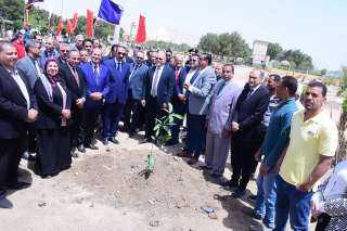 راشد والنعماني وعدد من القيادات يشاركون في زراعة أشجار الزيتون رمز السلام احتفالًا بعيد تحرير سيناء