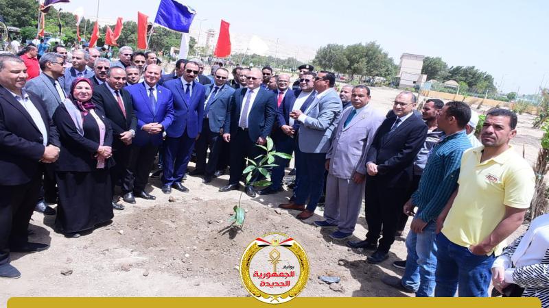 زراعة أشجار الزيتون